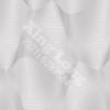77P 2560-1.jpg class=